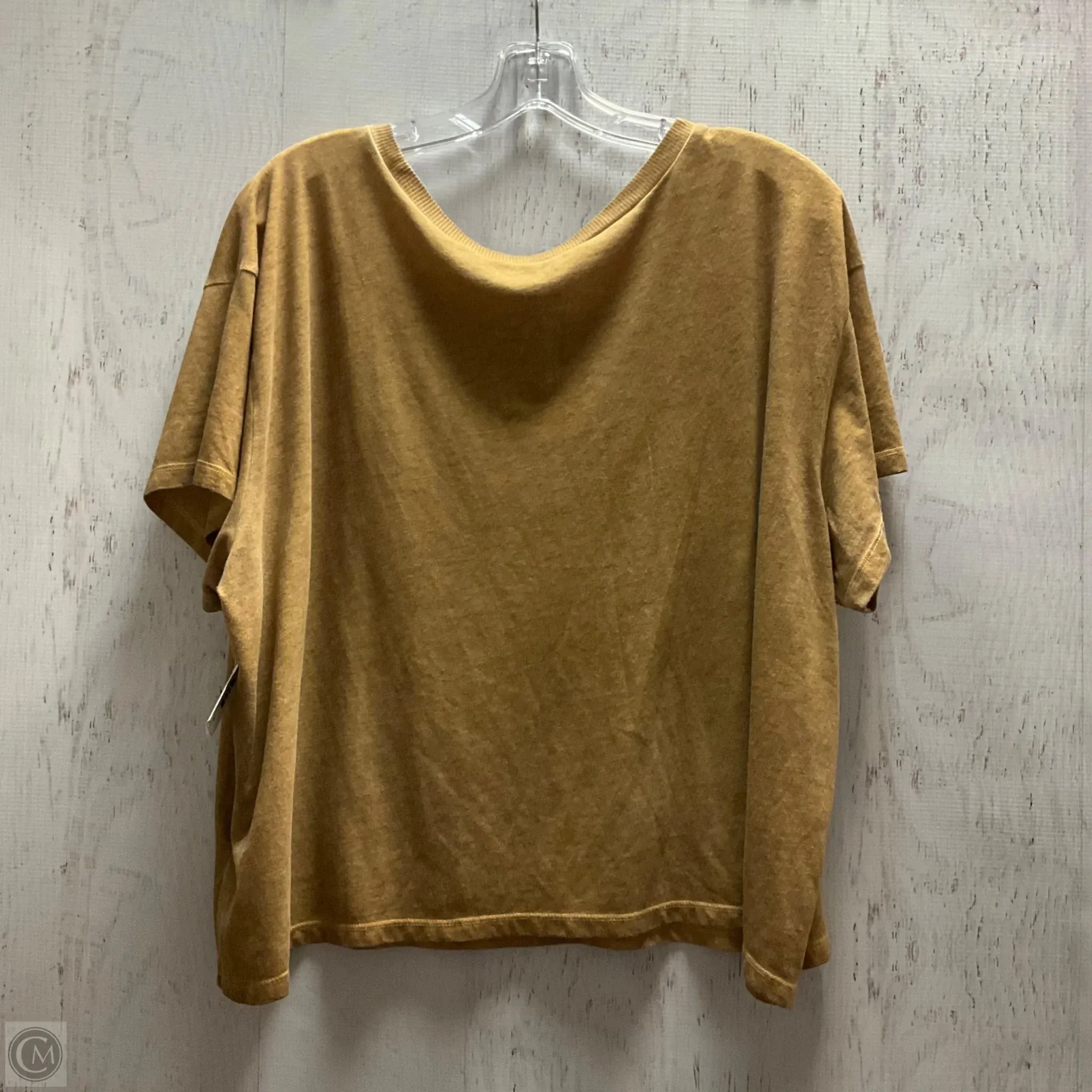 Top Short Sleeve By Torrid In Tan, Size: 3x